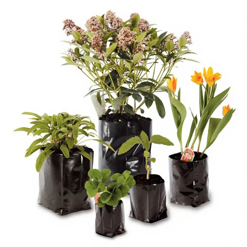 Poly plant pots - plant, grow