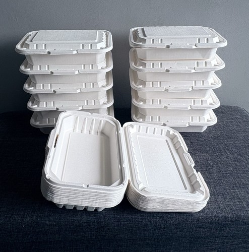 250 compostable 9x6 food boxes - 250,